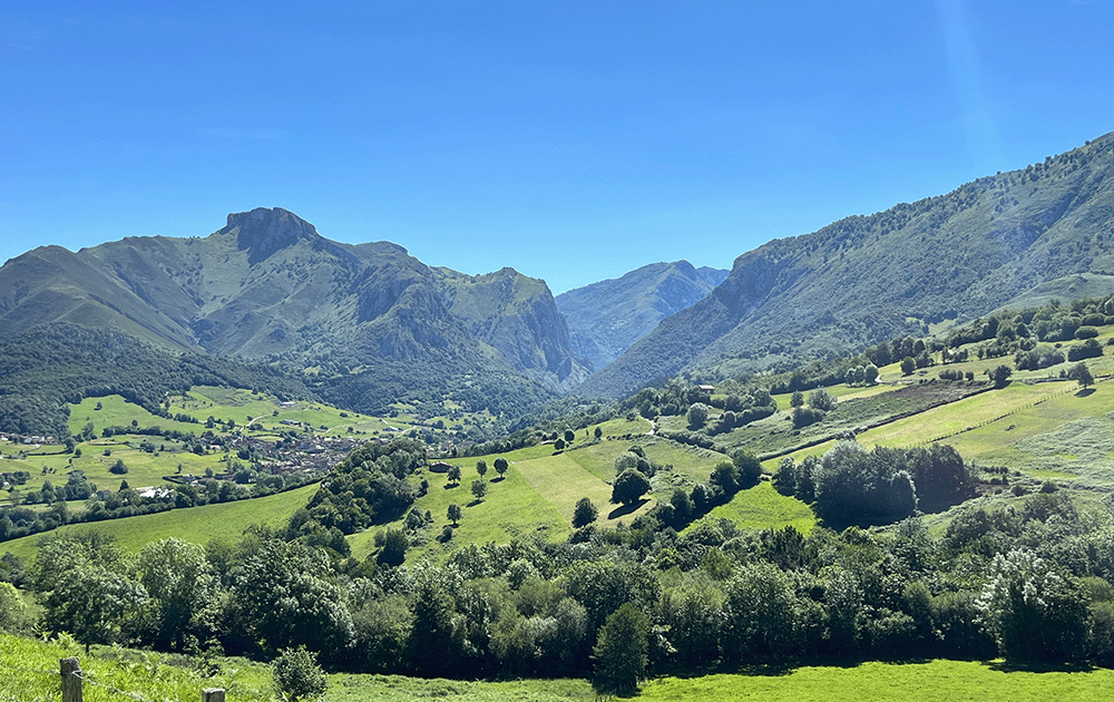 Rolling green hills framed by mountains