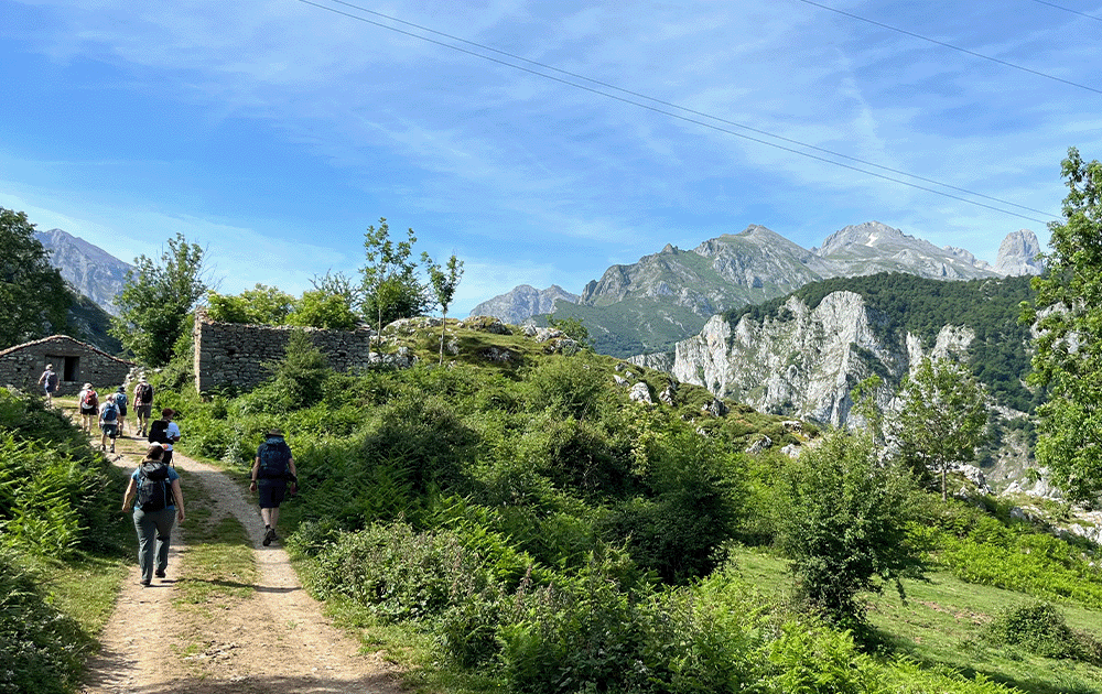 Hikers walking in a lush landscape framed by mountains