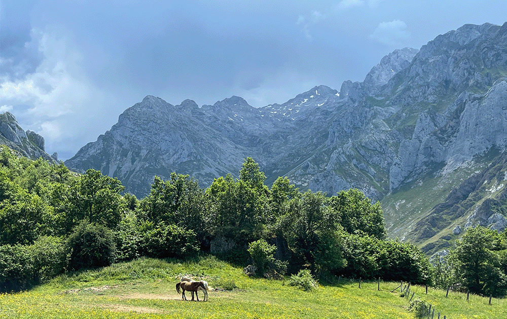 A horse gazing by mountains with a stormy sky