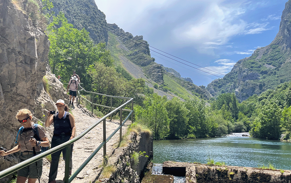 Hikers passing a river on a mountain trail