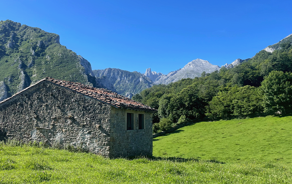 A traditional stone cabin on a pasture with grey peaks in the background