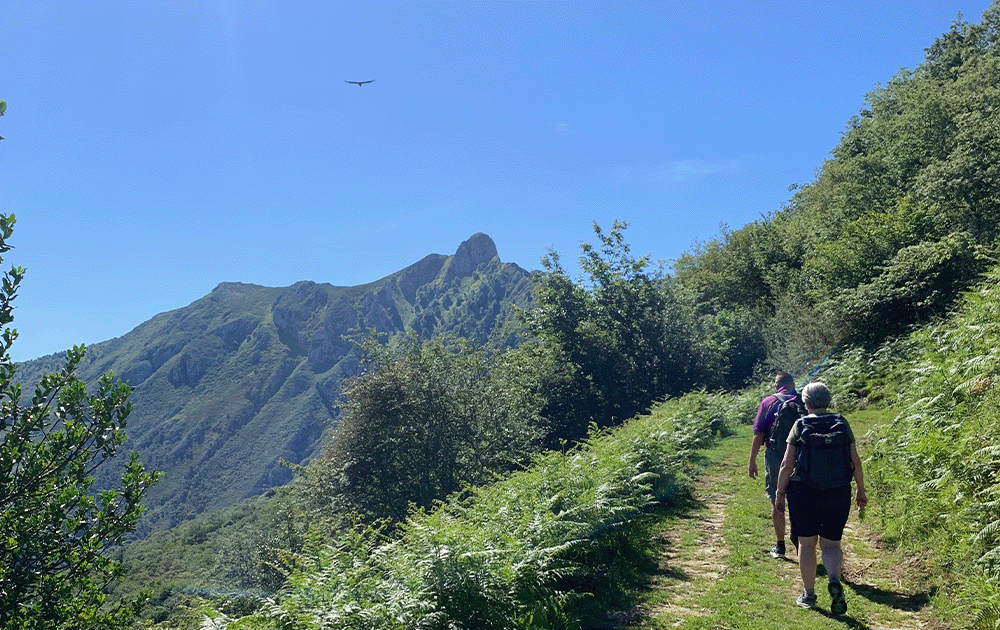 Hikers on a trail overlooking a lush green mountain peak under a blue sky