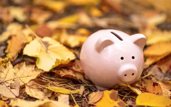Pumpkin with coins and autumn leaves