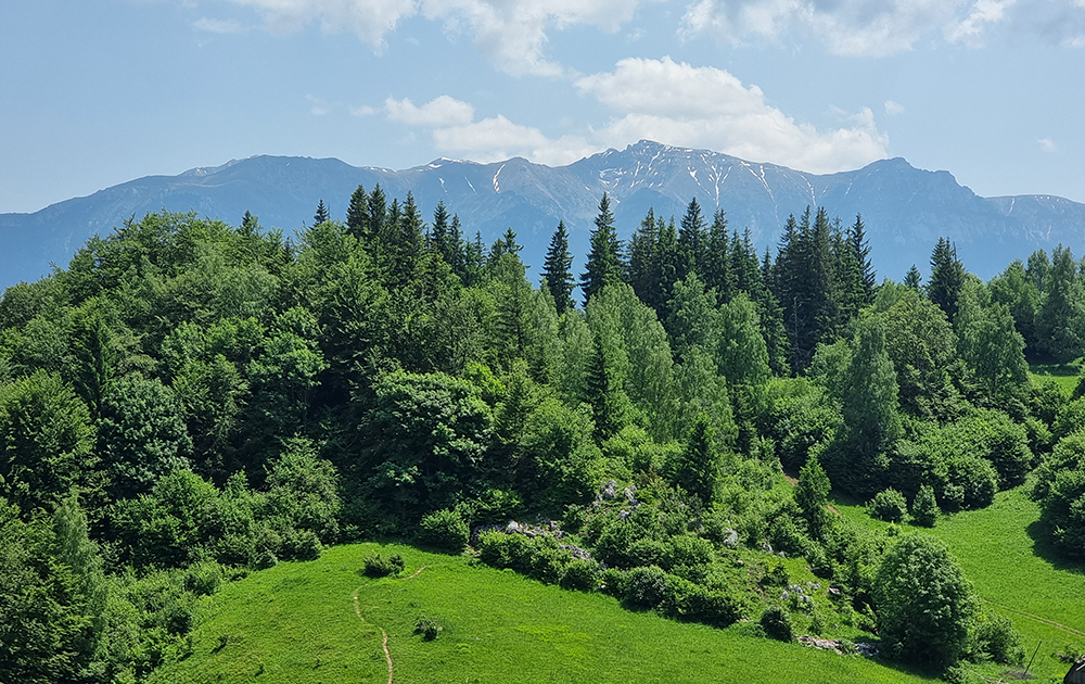 Scene of Romanian hills and forest with mountain backdrop