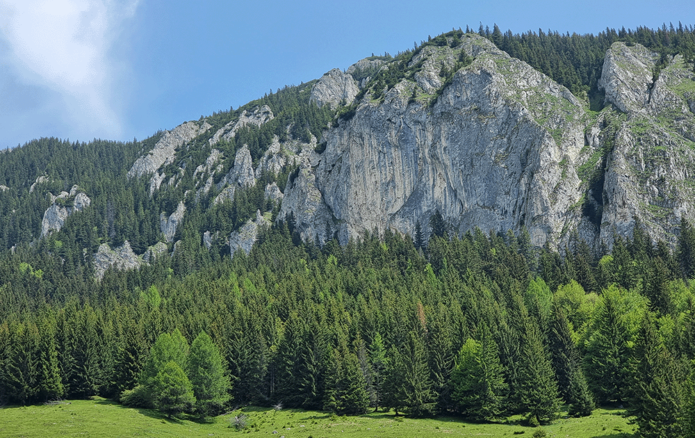 The Piatra Craiului Ridge
