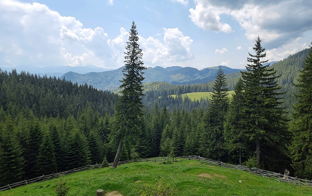 The Carpathian mountains