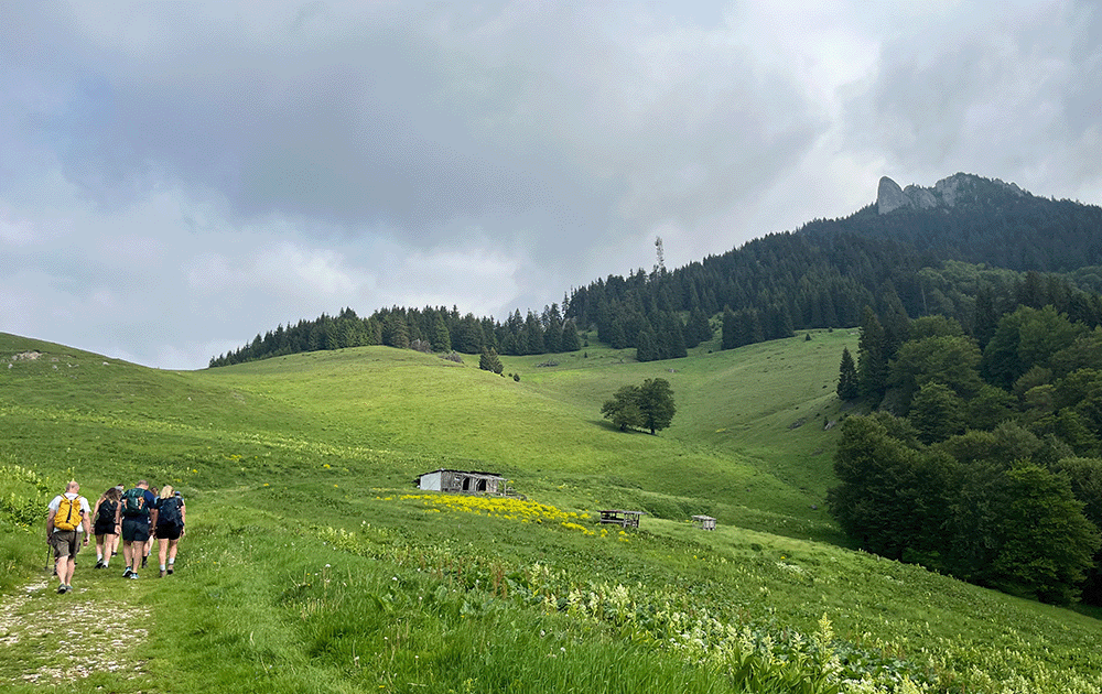 Hikers on a green plain walking towards a forest
