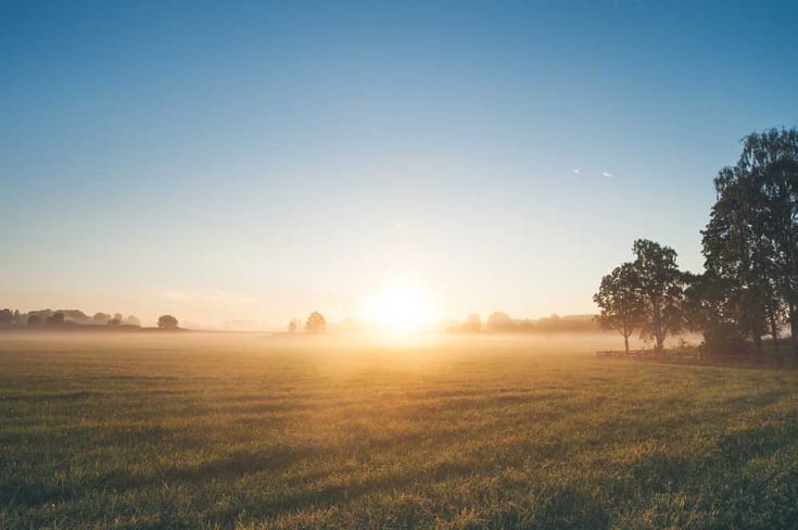 Sunrise in an open field
